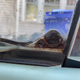 Illustration for article titled Replacing The Vent Window In My Pao Was A Good Reminder That Rust Hates Us All